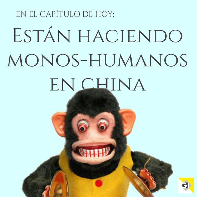 Están haciendo híbridos de mono humano en China / Apple y Google dejarán de escucharte / Estudio: Tinder te hace infeliz / Pixel 4 Google obedecerá a gestos con las manos  / Apple vende menos iPhones que nunca